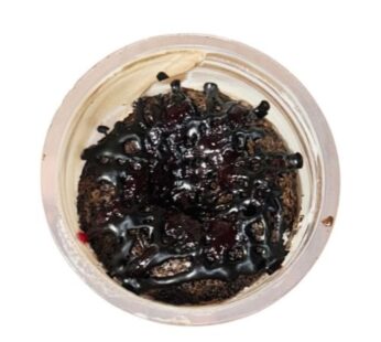 Chocolate Fountain Cake | French Bakery