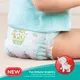 Pampers Happy Skin Diaper Pants (S) 2’s - Image 2